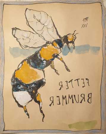 FETTER BRUMMER
